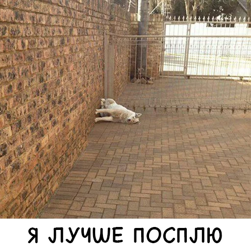 Russian sticker 10