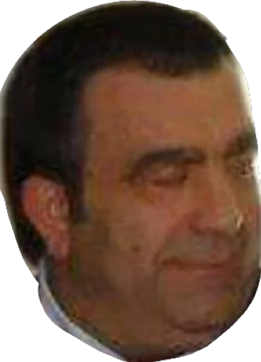 Gianlucagay sticker 5