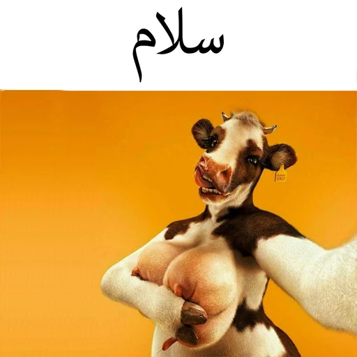 گاو سسکی (PACK BY ARSAM) Telegram sticker pack