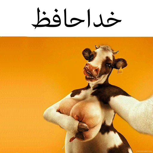 گاو سسکی (PACK BY ARSAM) sticker 2