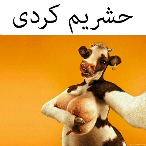گاو سسکی (PACK BY ARSAM) sticker 11