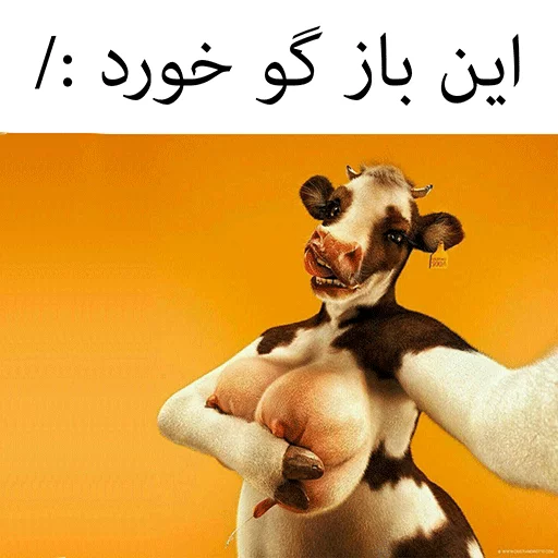 گاو سسکی (PACK BY ARSAM) sticker 12