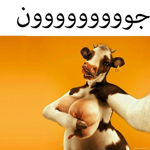 گاو سسکی (PACK BY ARSAM) sticker 4