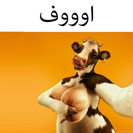 گاو سسکی (PACK BY ARSAM) sticker 5