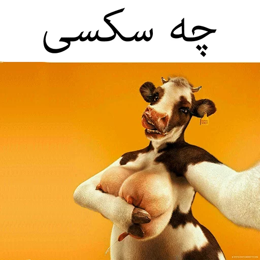 گاو سسکی (PACK BY ARSAM) sticker 6