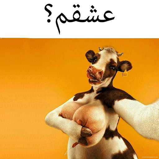 گاو سسکی (PACK BY ARSAM) sticker 7