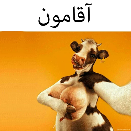 گاو سسکی (PACK BY ARSAM) sticker 8