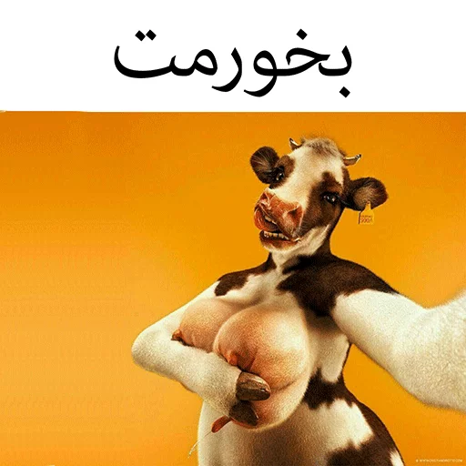 گاو سسکی (PACK BY ARSAM) sticker 9