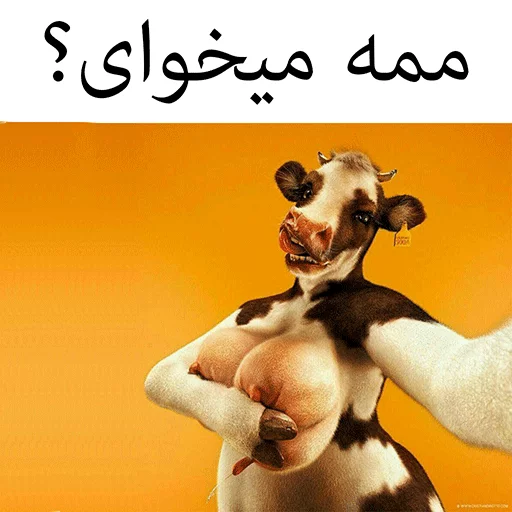 گاو سسکی (PACK BY ARSAM) sticker 10