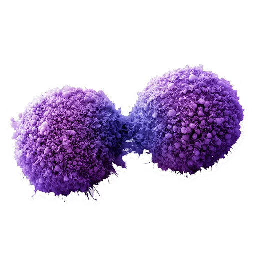 bavnqrshtina sticker 11