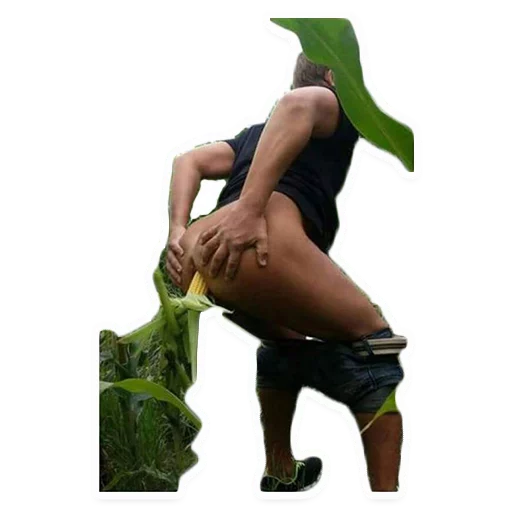 bavnqrshtina sticker 9