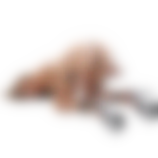 bdsm sticker 4