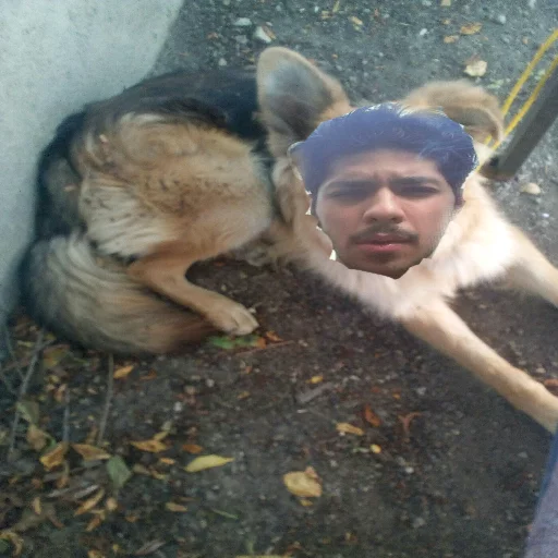 rasol binamos va khaimala sticker 5