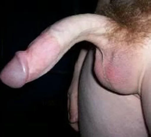 BRUTTI PENI sticker 3