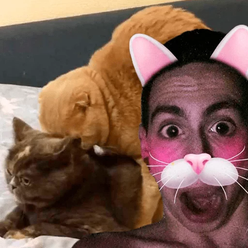 Camwhore Thread /ga/ sticker 12