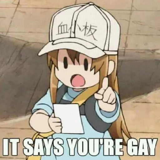 Claire’s Gay Shit sticker 6