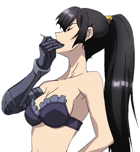 Cross Ange sticker 5