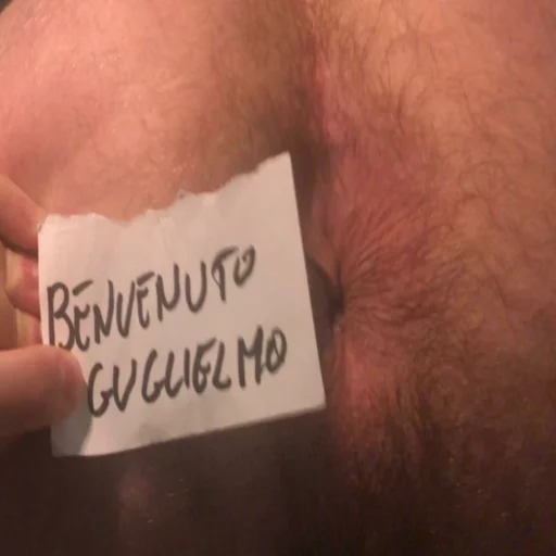 Culo avido sticker 10