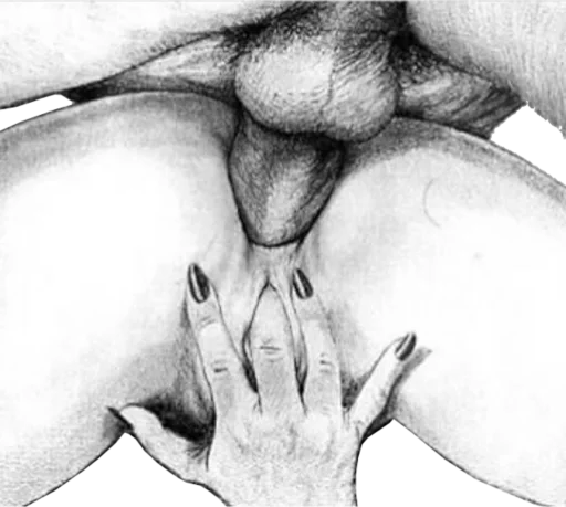 eroticdraws sticker 3