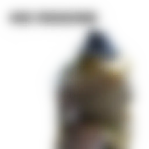 a bit of Drugshko sticker 12