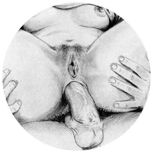 erotic sticker 2