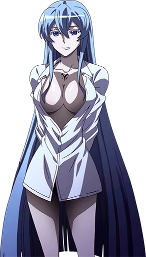 Esdeath (@ventage) sticker 5