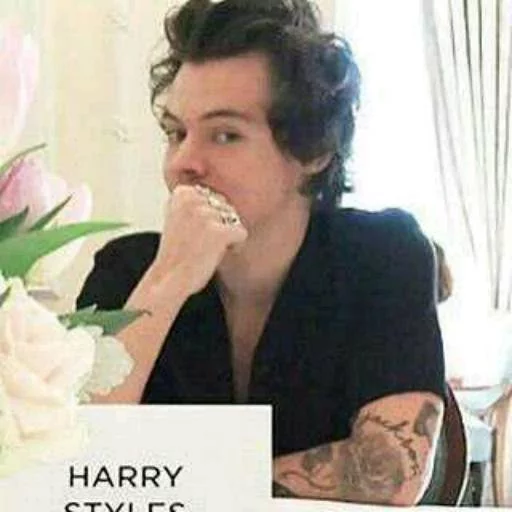 Harry Telegram sticker pack