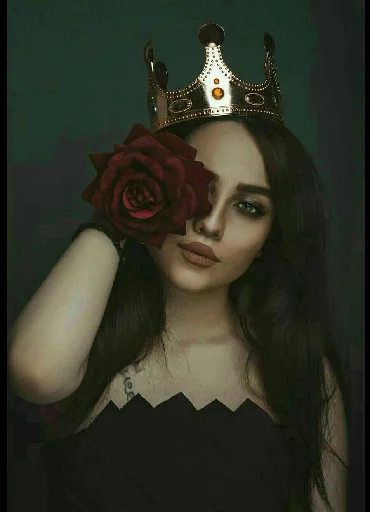 Fhe 🌹 Preciosa 💎 sticker 8