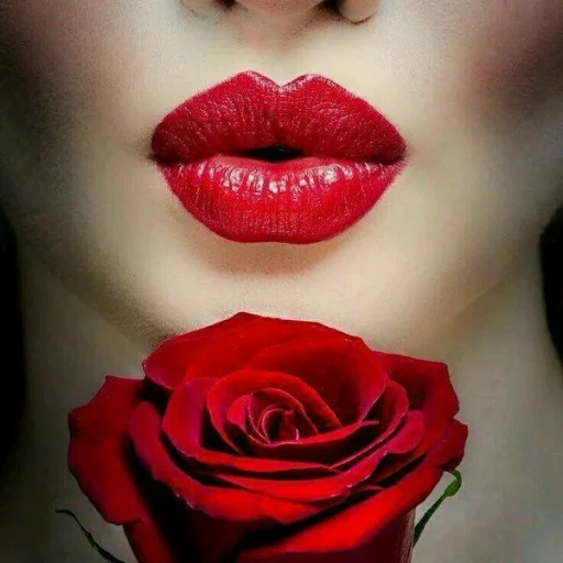 Fhe 🌹 Preciosa 💎 sticker 10