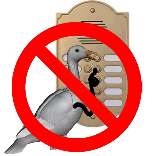 FILLO BRISTOL sticker 9