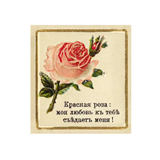 FlowerLanguageVintage Telegram sticker pack