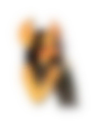 Furry_sex sticker 8