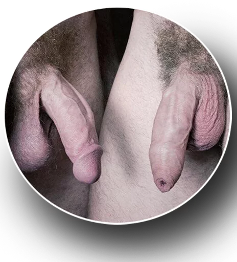 gaygayporn sticker 2