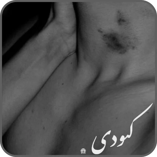 feeriـDani sticker 3