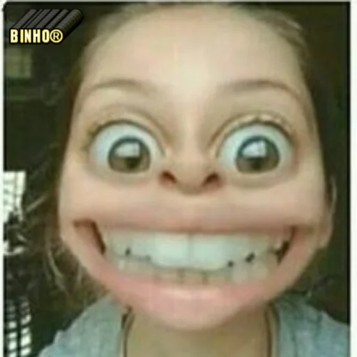 BINHO® sticker 7