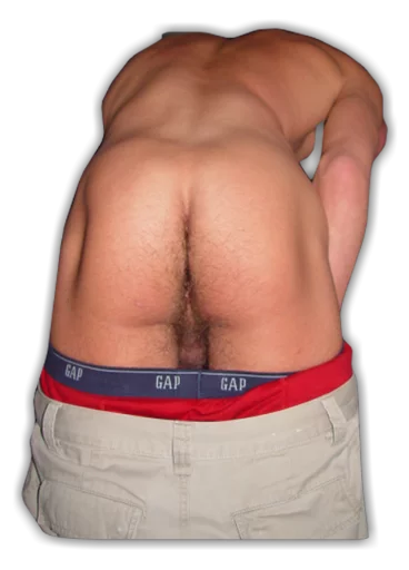 grupo sticker 3