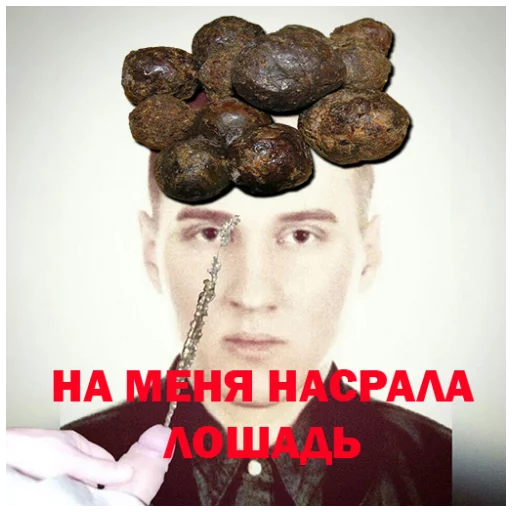 хер sticker 4