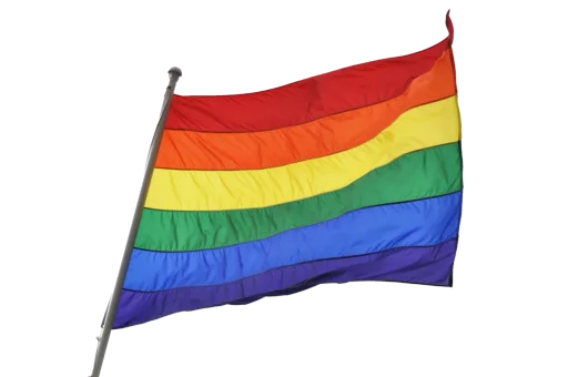 gay sticker 3