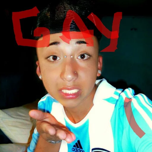 Gays sticker 6