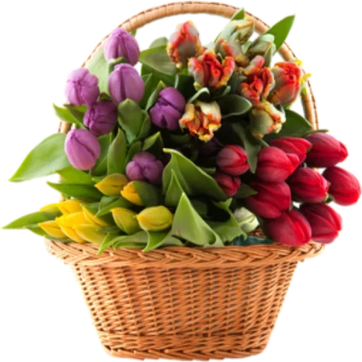 ✨ @Loveoops ✨ : Flower5 Telegram sticker pack