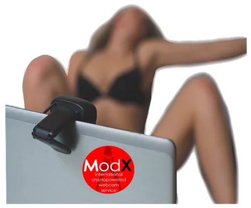 Model-X sticker 4