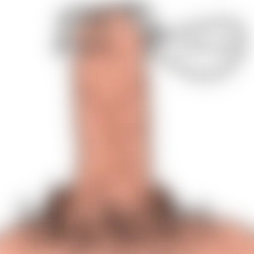 mr.dick sticker 2