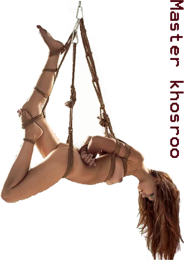Neda sticker 4