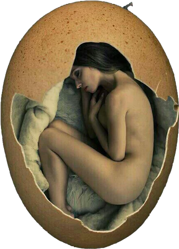 Neda sticker 9