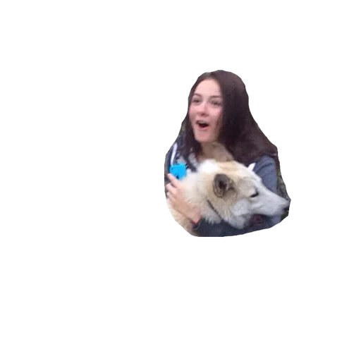nedash sticker 2