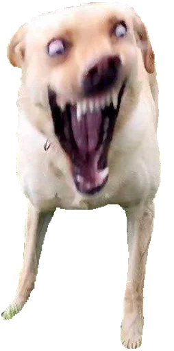 Nerdyapack sticker 10