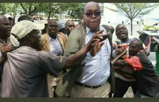 Nguruwe sticker 11