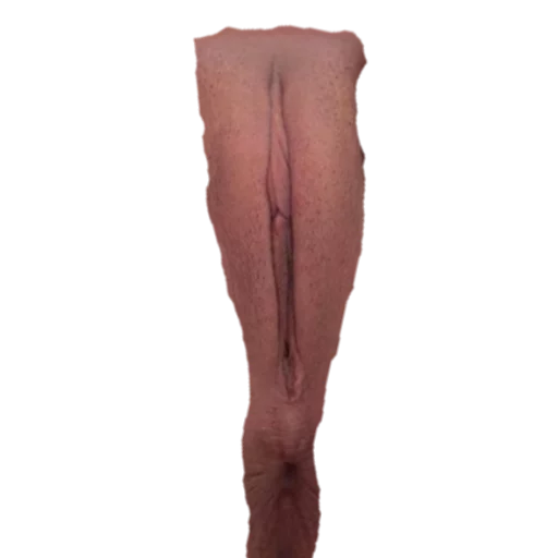 sex sticker 2