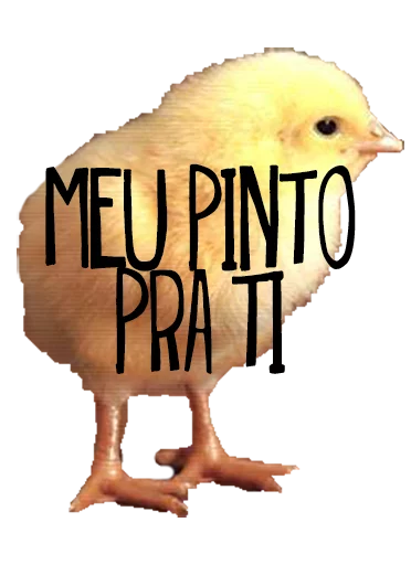 Penis sticker 5
