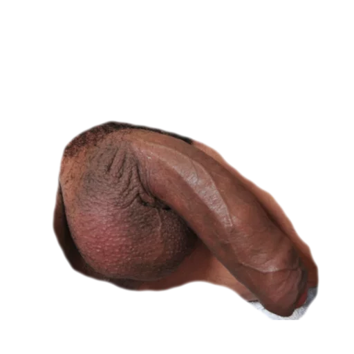 porngay Telegram sticker pack